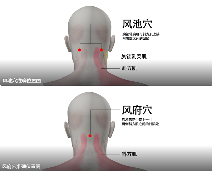 秋冬季胃病患者一定要做的事：保暖和养好脾胃！以下方法建议收藏插图